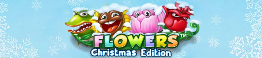 Flowers Christmas Edition